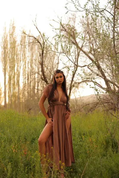 SILVA DRESS (brown)